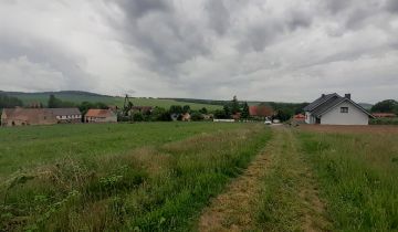 Działka rolna Wilków, Główna