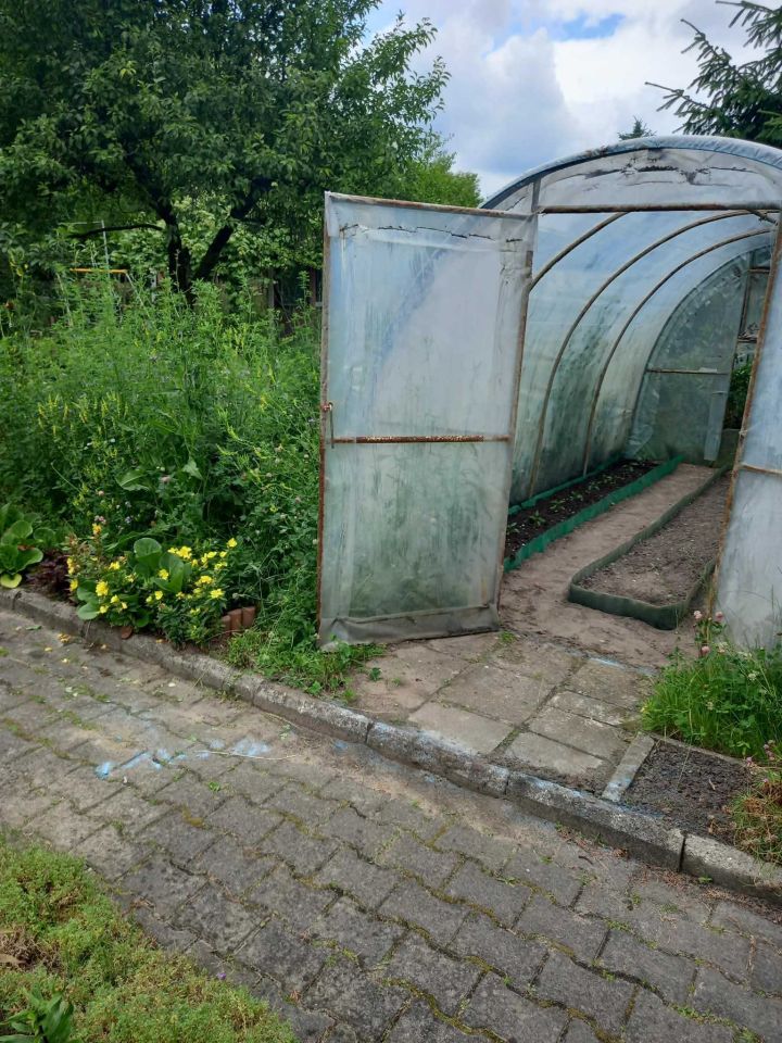 Działka rod Zgierz. Zdjęcie 6