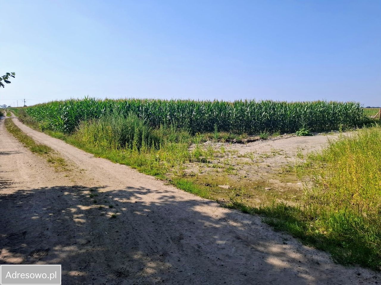 Działka budowlana Boguszyce. Zdjęcie 9