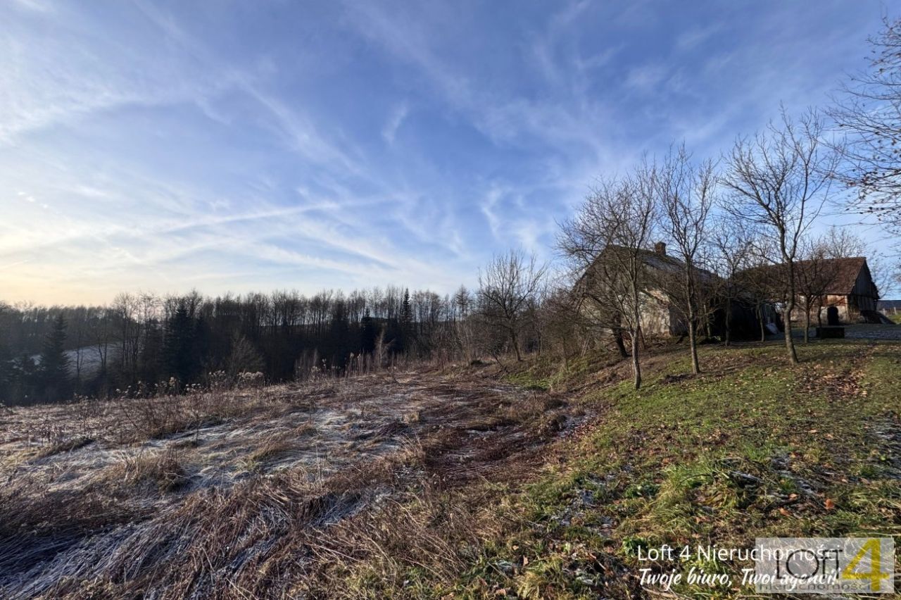 siedlisko, 3 pokoje Rzepiennik Marciszewski. Zdjęcie 3