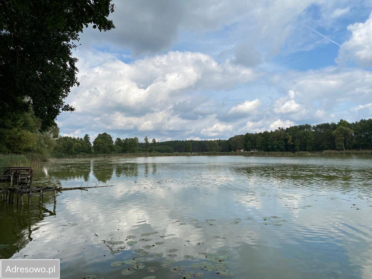 Działka rekreacyjna Kwiejce. Zdjęcie 7