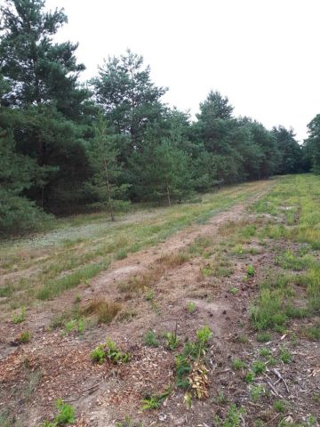 Działka budowlana Rosocha-Kolonia. Zdjęcie 1