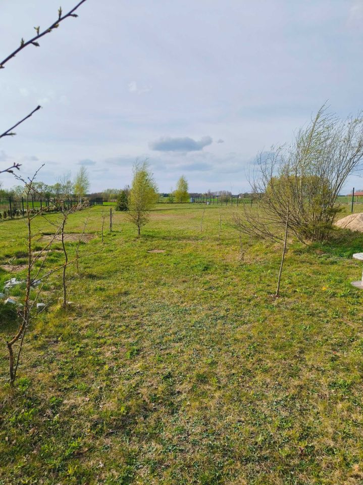 Działka rolna Laski Wielkie. Zdjęcie 2