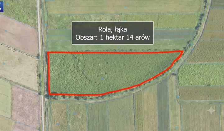 Działka rolna Sarzyna