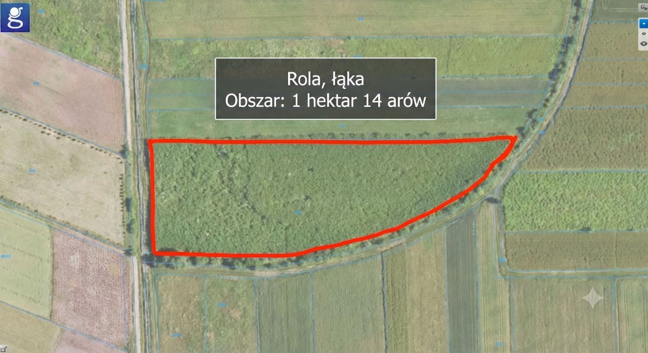 Działka rolna Sarzyna. Zdjęcie 1