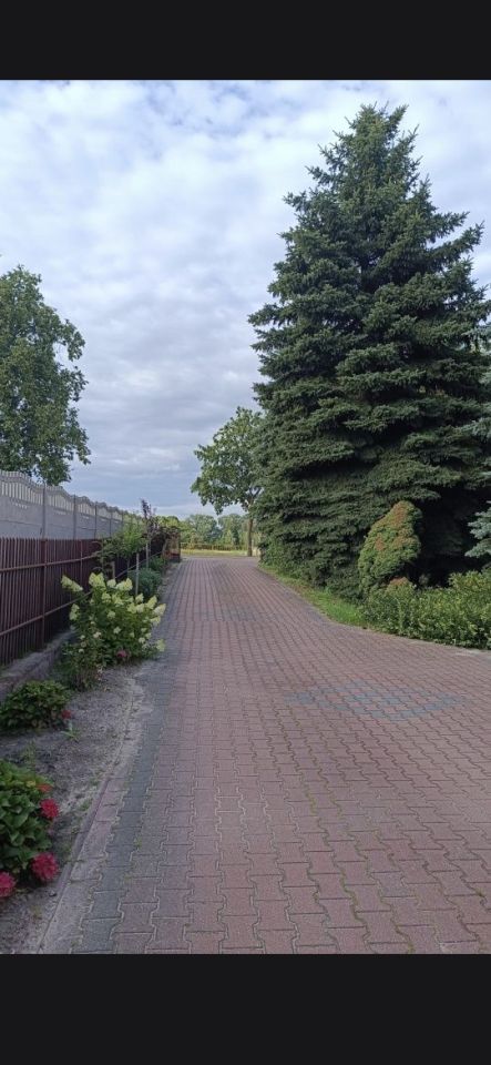 dom wolnostojący Łosice, ul. Siedlecka. Zdjęcie 4