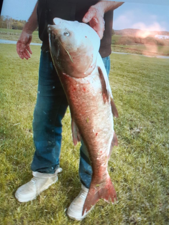 Działka budowlana Bogaczewo. Zdjęcie 5