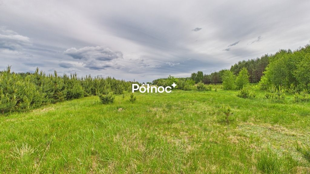 Działka budowlana Dobry Las. Zdjęcie 8