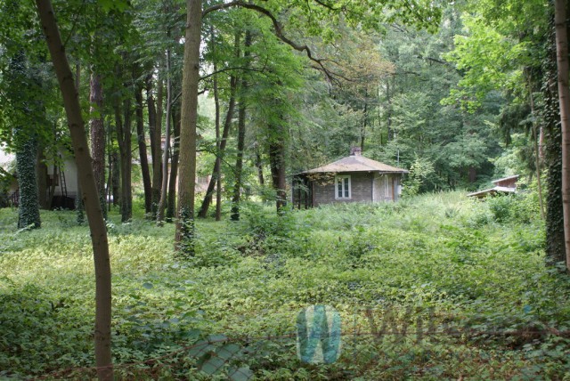 Działka rolno-budowlana Podkowa Leśna. Zdjęcie 1