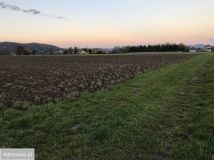 Działka siedliskowa Wesołów. Zdjęcie 1