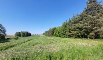 Działka rolno-budowlana Rudki