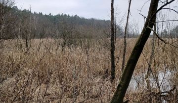 Działka rolna Łapinóż