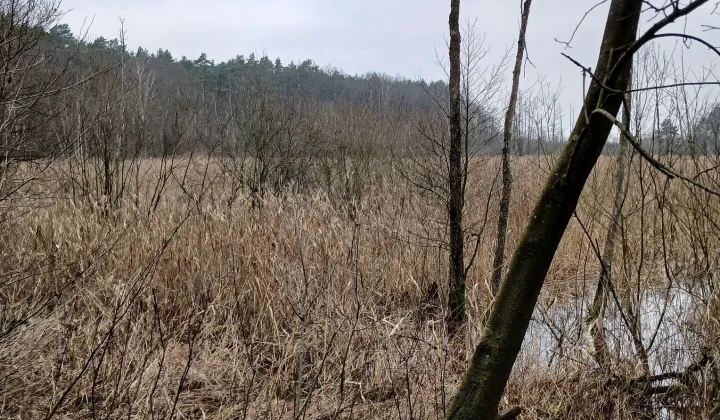 Działka rolna Łapinóż