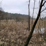 Działka rolna Łapinóż