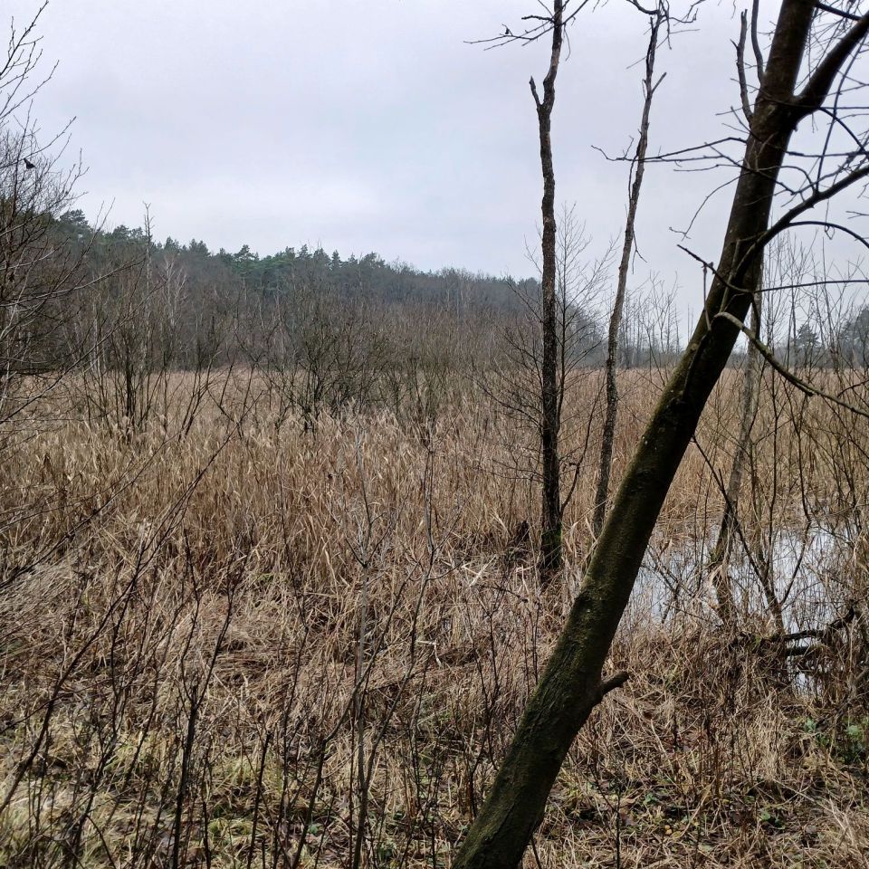 Działka rolna Łapinóż