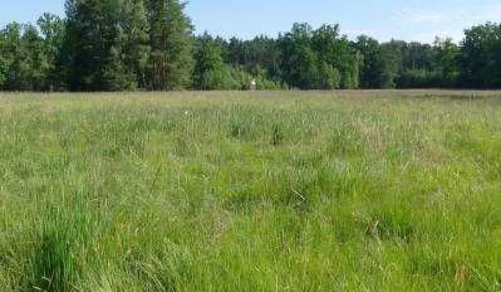 Działka rolna Grzegorzew, ul. Autostrada