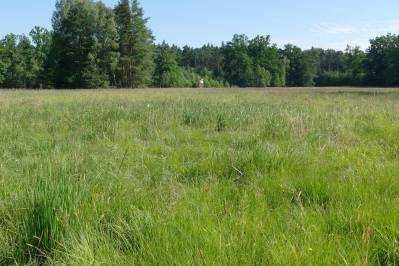 Działka rolna Grzegorzew, ul. Autostrada. Zdjęcie 1