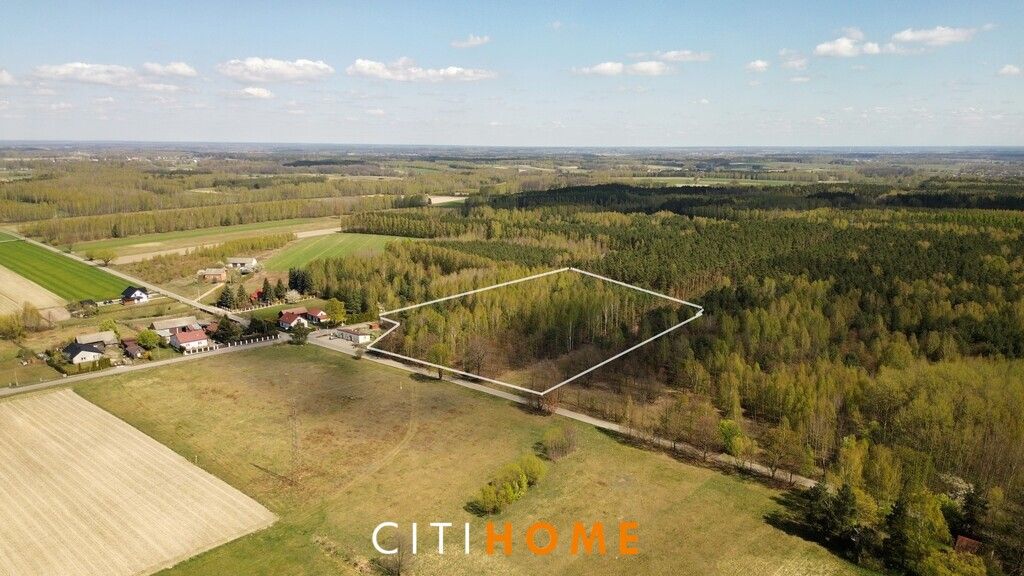 Działka leśna Poschła. Zdjęcie 3