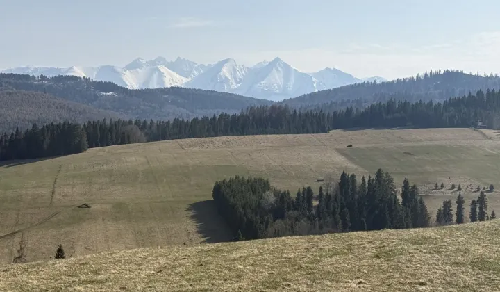 Działka rolna Łapsze Niżne