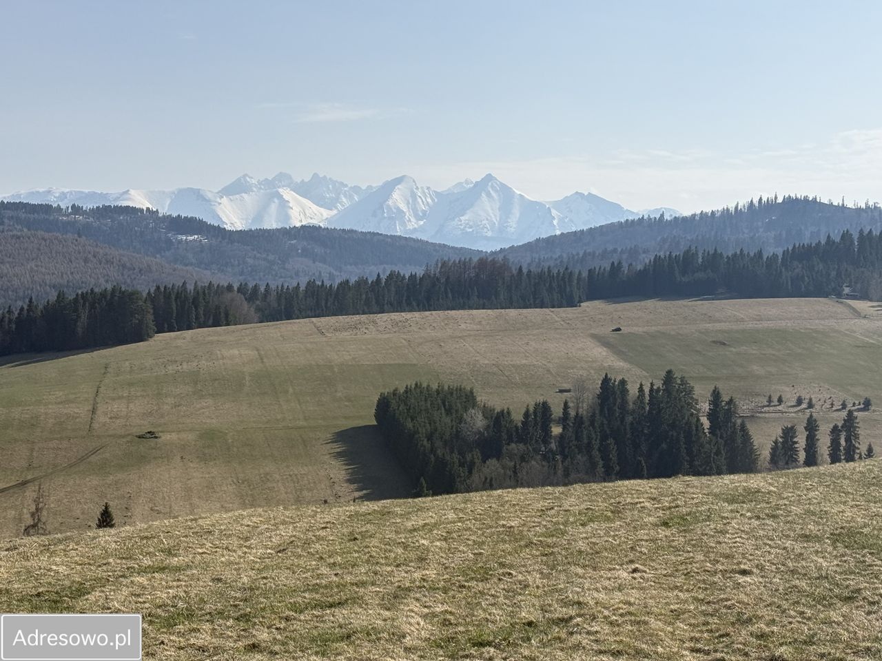 Działka rolna Łapsze Niżne. Zdjęcie 1