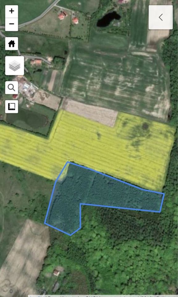 Działka leśna Rychnowy. Zdjęcie 4