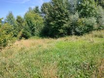 Działka rolno-budowlana Krasne Potockie Nowa Wieś. Zdjęcie 1