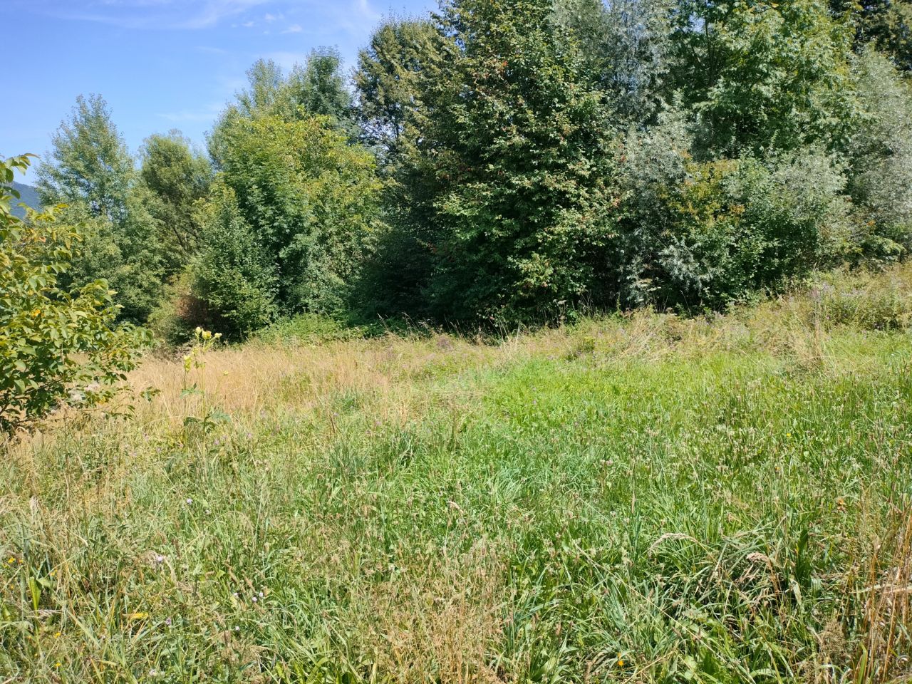 Działka rolno-budowlana Krasne Potockie Nowa Wieś. Zdjęcie 2