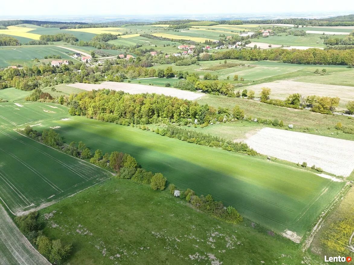 Działka rolna Pomocne. Zdjęcie 3