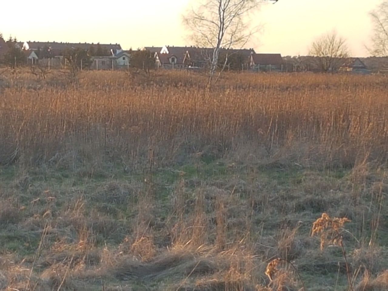 Działka inwestycyjna Lutynia. Zdjęcie 4