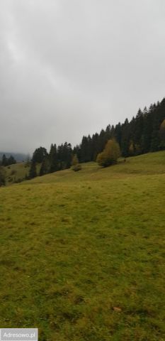 Działka rolna Jaworki, ul. Biała Woda. Zdjęcie 1