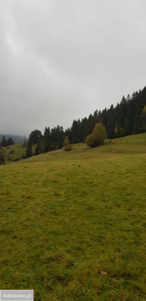 Działka rolna Jaworki, ul. Biała Woda. Zdjęcie 1