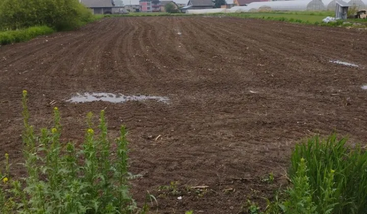 Działka rolno-budowlana Zofipole