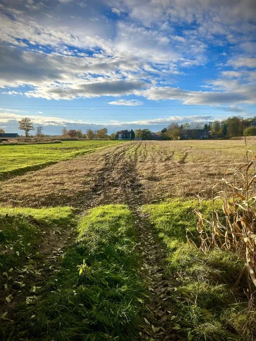 Działka rolno-budowlana Kraków Nowa Huta. Zdjęcie 4