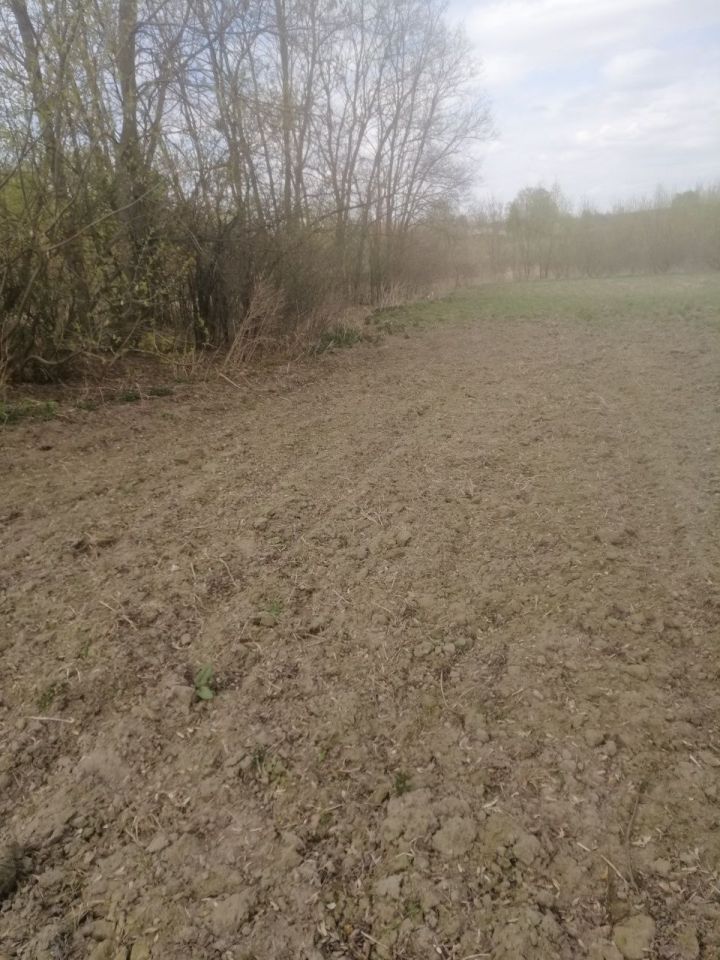 dom wolnostojący Goworowo. Zdjęcie 4