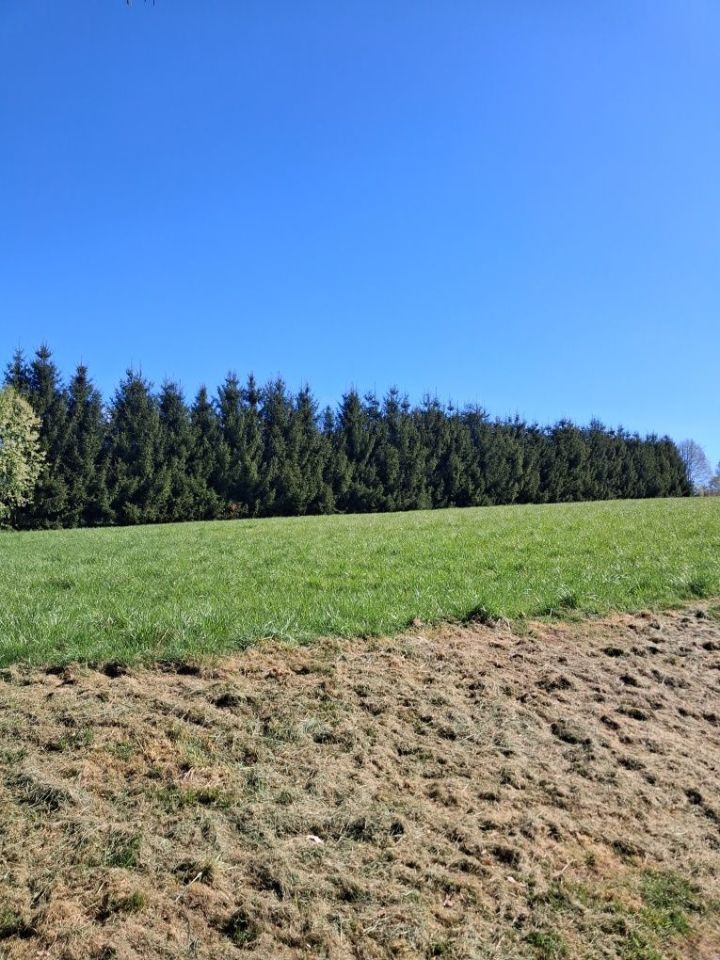 Działka budowlana Siedlęcin, ul. Lwówecka. Zdjęcie 6