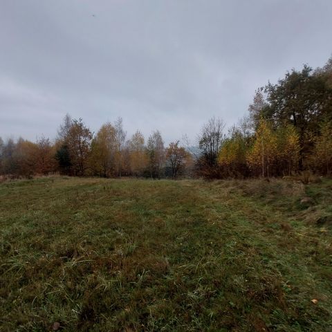 Działka rolna Łapczyca Raj. Zdjęcie 4