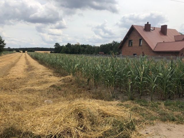 Działka rolno-budowlana Romanów. Zdjęcie 1