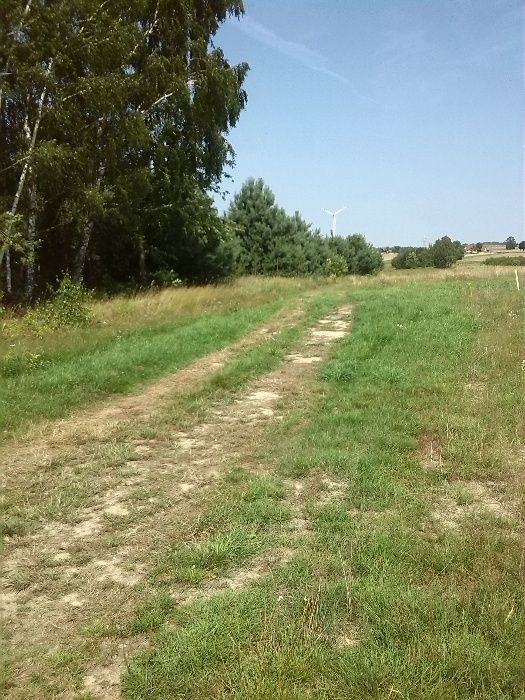 Działka budowlana Augustowo Na Brańskiej. Zdjęcie 3