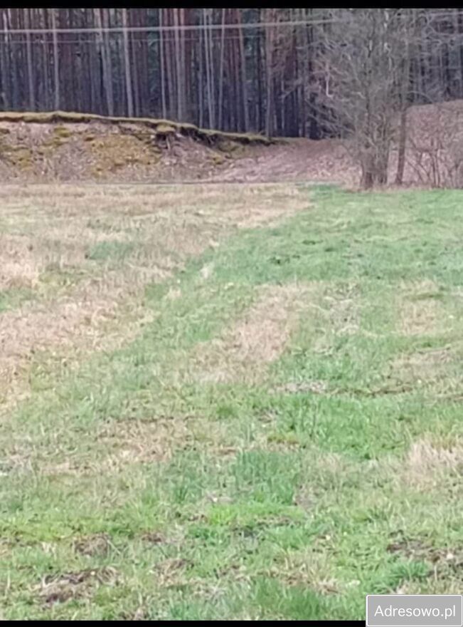 Działka budowlana Brzuza. Zdjęcie 10