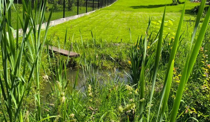 Działka budowlana Żernica, ul. Powstańców Śląskich