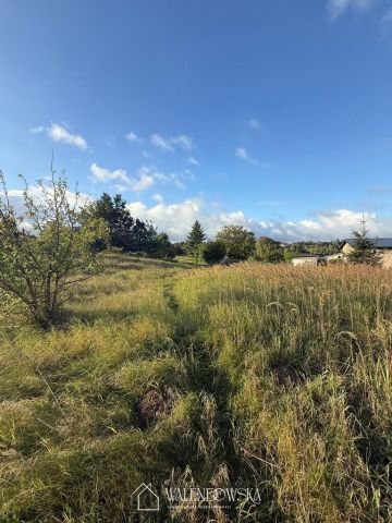 Działka Gardna Wielka. Zdjęcie 13
