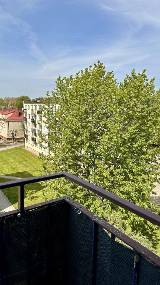 Mieszkanie 3-pokojowe Nidzica, ul. Kościuszki. Zdjęcie 14