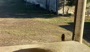 dom wolnostojący Osiek-Włostybory