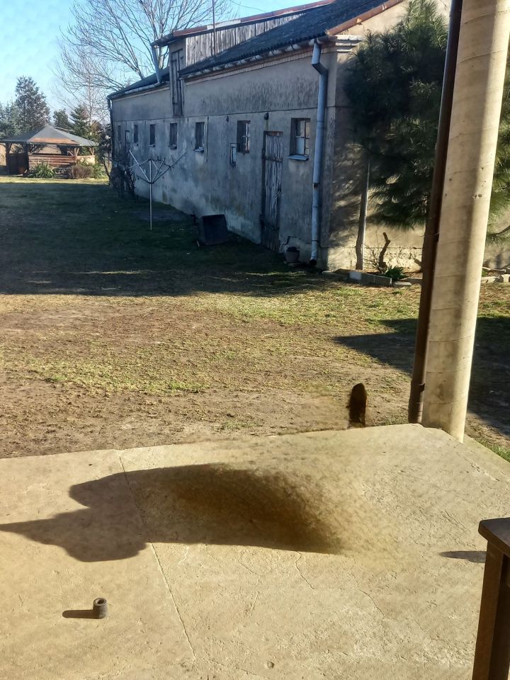 dom wolnostojący Osiek-Włostybory. Zdjęcie 2