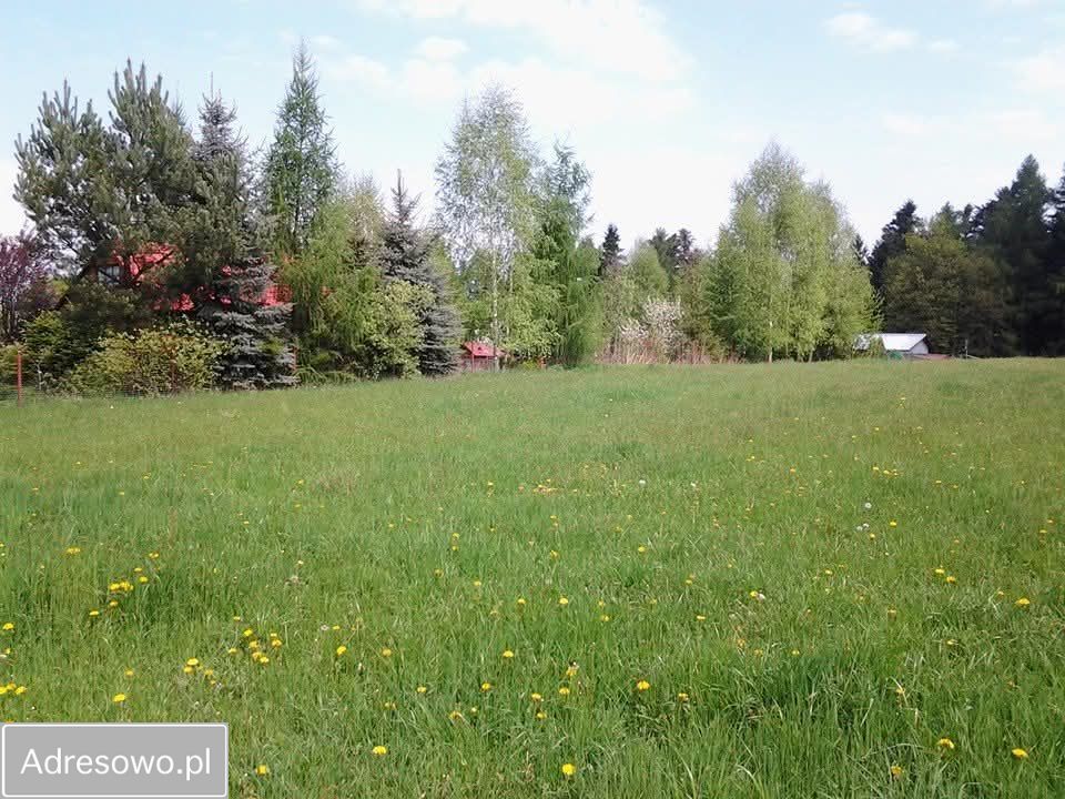 Działka budowlana Dąbrówka. Zdjęcie 7