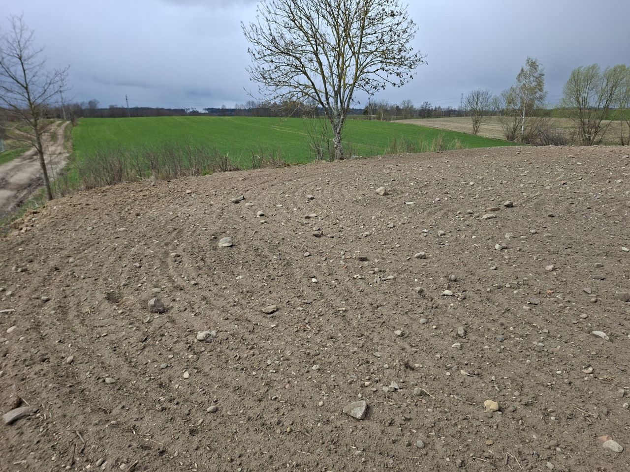 Działka budowlana Długochorzele. Zdjęcie 7