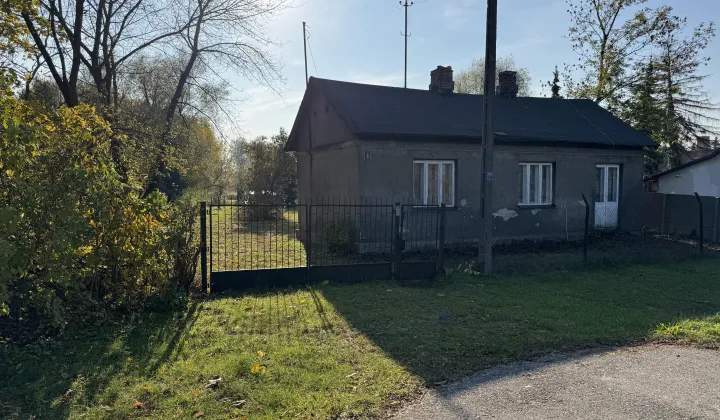Działka siedliskowa Brzeziny, Brzeziny
