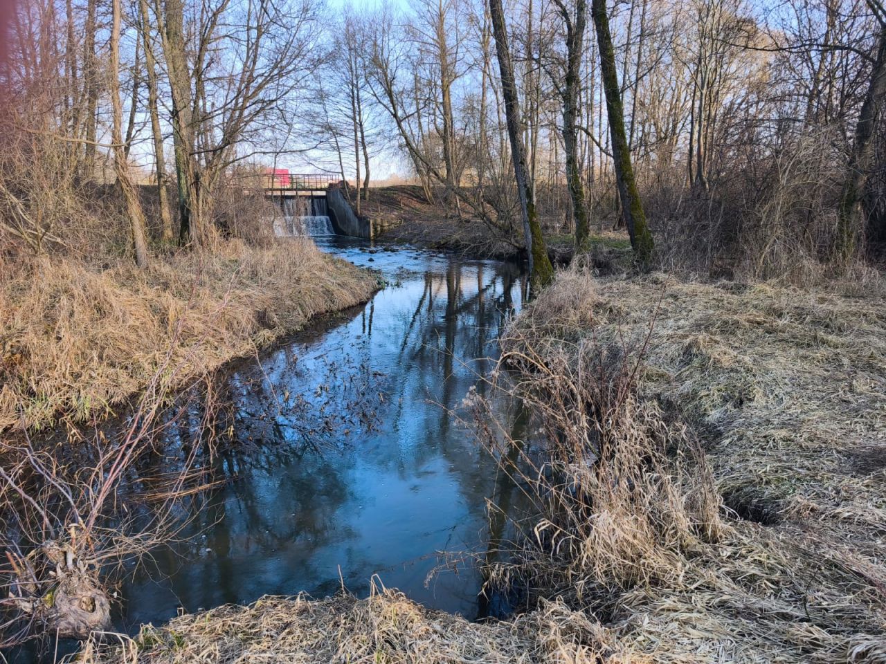 Działka rekreacyjna Rządza, Złota. Zdjęcie 5
