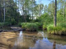 siedlisko, 5 pokoi Szczepkowo-Giewarty. Zdjęcie 3