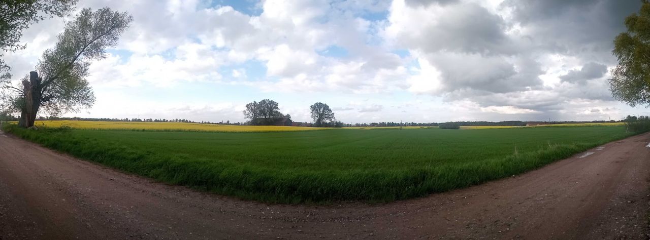 Działka rolno-budowlana Łędławki. Zdjęcie 4